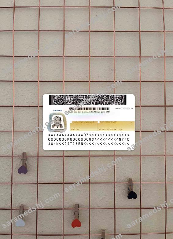 USA New York driving license under 21 photolook BACK